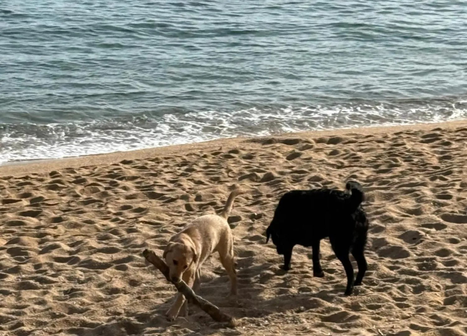 Pinzon, Gezellige Familievilla Met Groot Zwembad. Lloret de Mar 0*,  Spanje